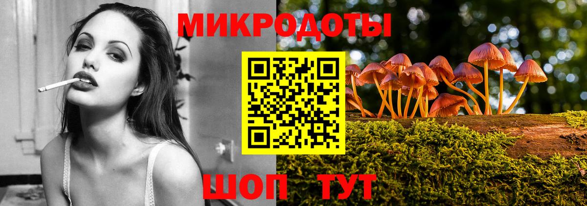 Псилоцибиновые грибы прущие грибы Пушкино