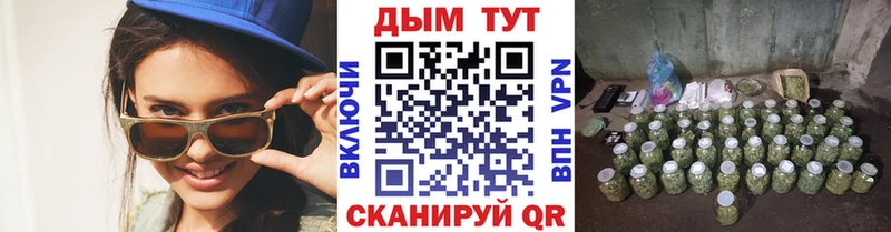 Конопля планчик  Пушкино 
